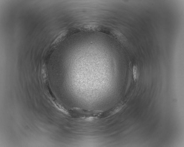 X0000078301107200611172141