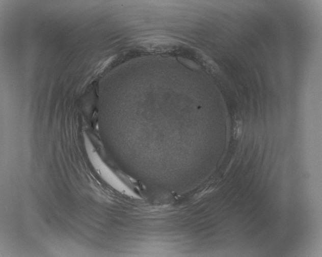 X0000078301108200611172141