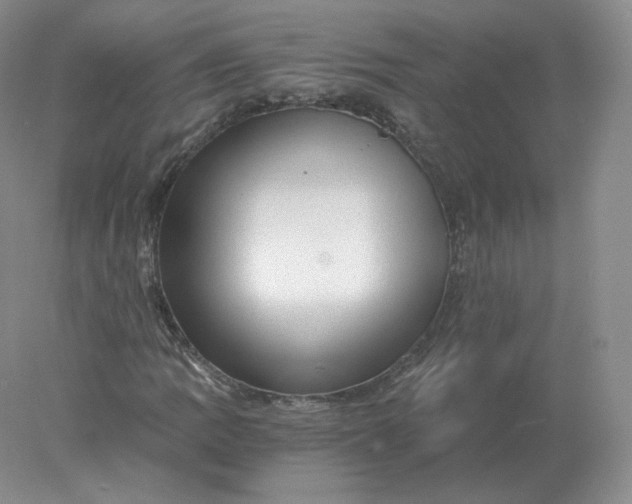 X0000078301109200611172141