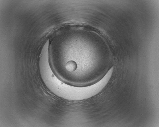 X0000078301110200611172141