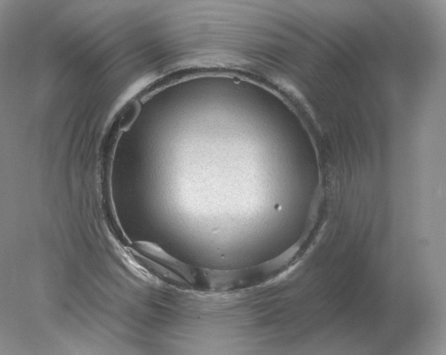 X0000078301114200611172141