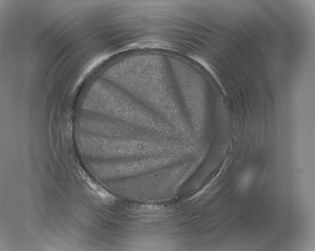 X0000078301115200611172141