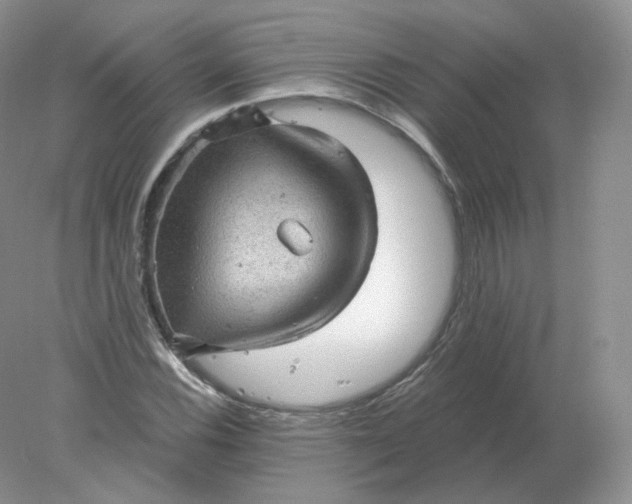 X0000078301116200611172141