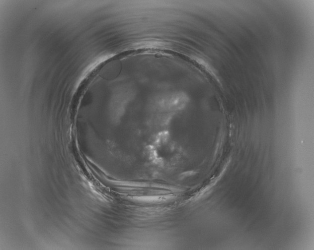 X0000078301117200611172141