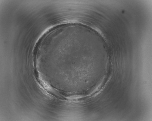 X0000078301118200611172141