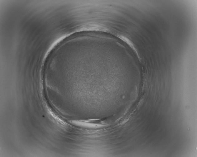 X0000078301120200611172141