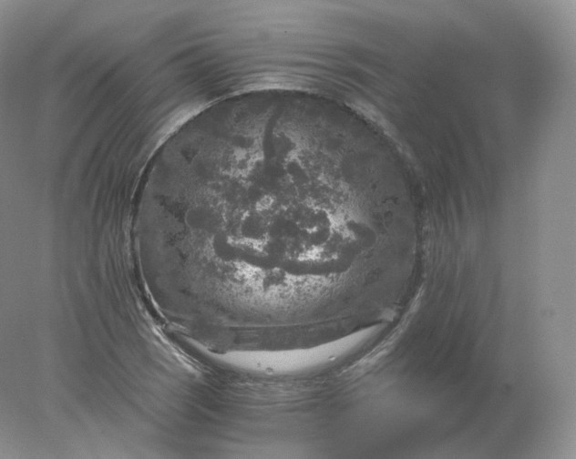 X0000078301121200611172141