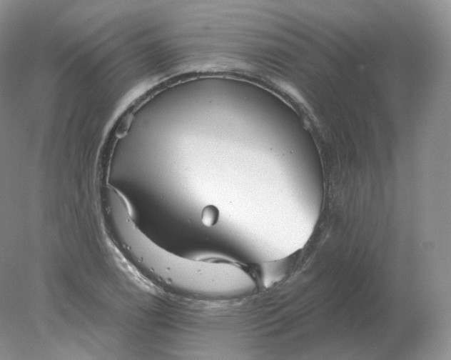 X0000078301122200611172141