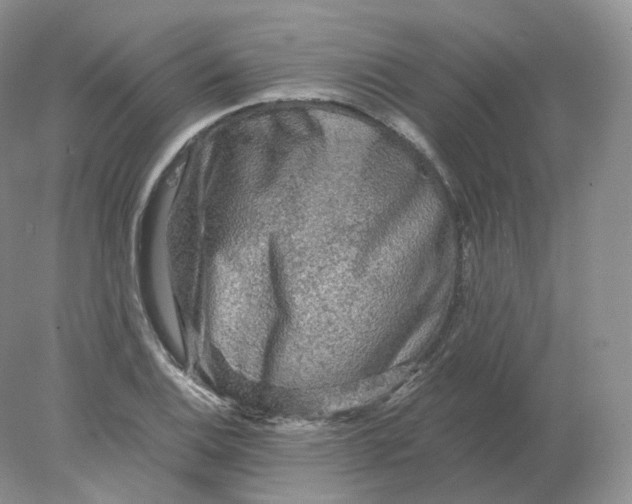 X0000078301124200611172141