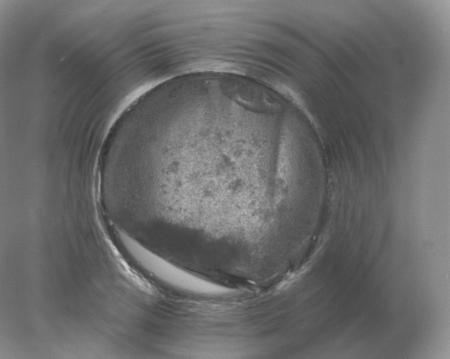 X0000078301125200611172141