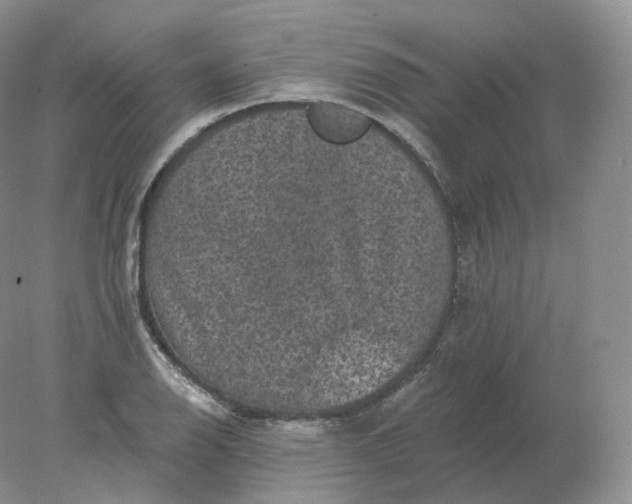 X0000078301126200611172141