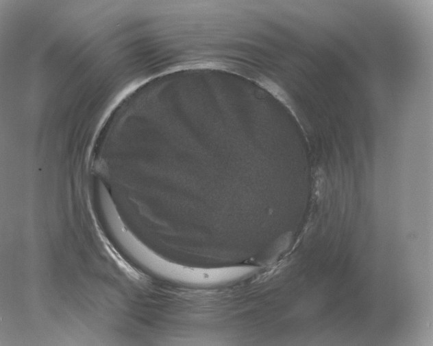 X0000078301127200611172141