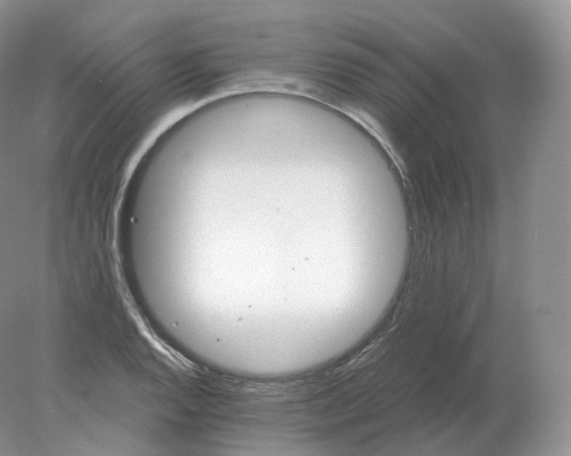 X0000078301128200611172141