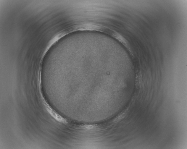 X0000078301130200611172141