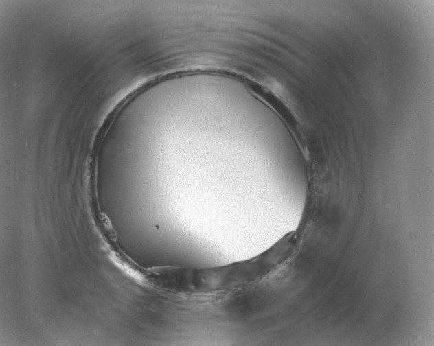 X0000078301134200611172141