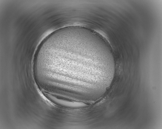 X0000078301135200611172141