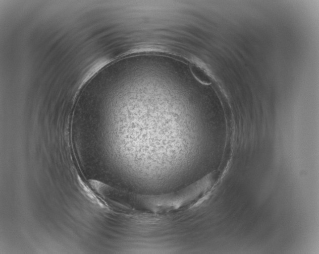 X0000078301137200611172141