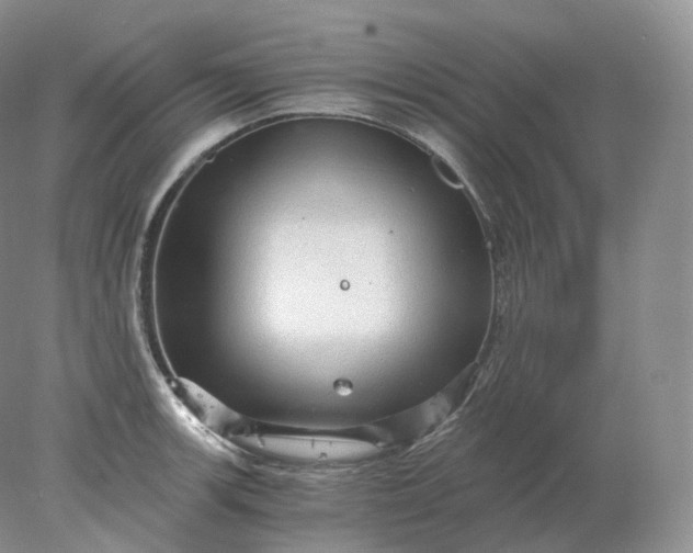 X0000078301139200611172141