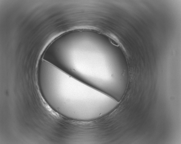 X0000078301140200611172141