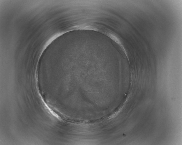 X0000078301141200611172141