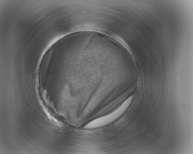 X0000078301144200611172141