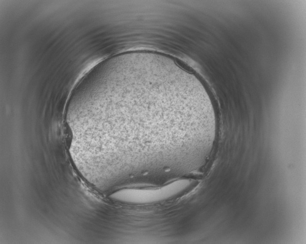 X0000078301145200611172141