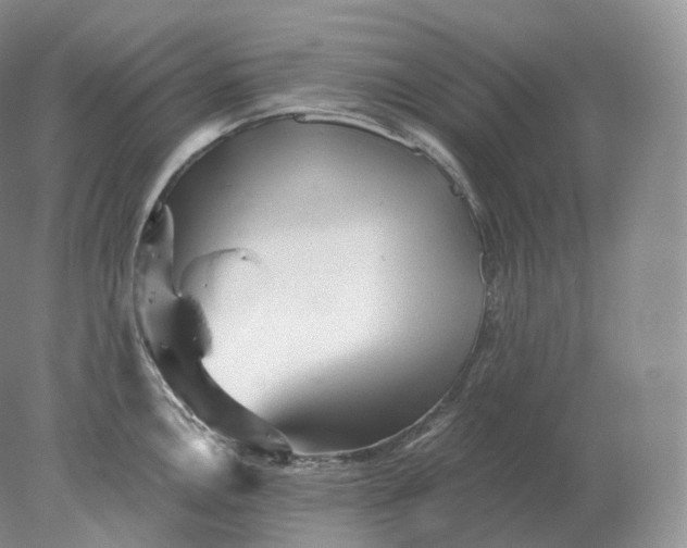 X0000078301146200611172141