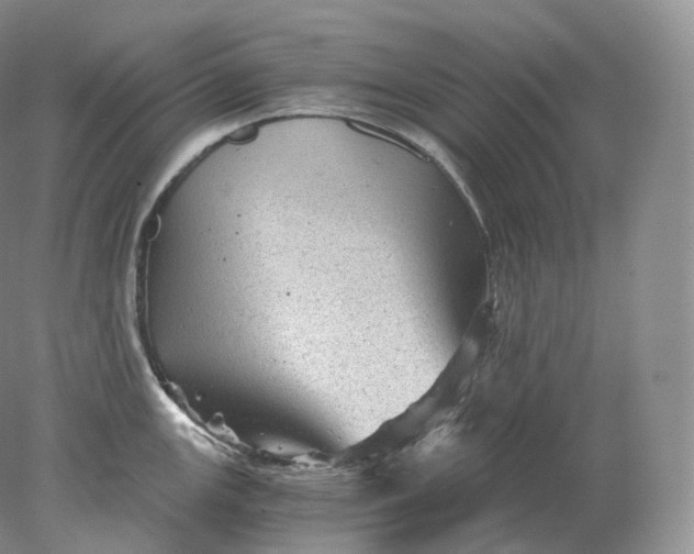 X0000078301147200611172141