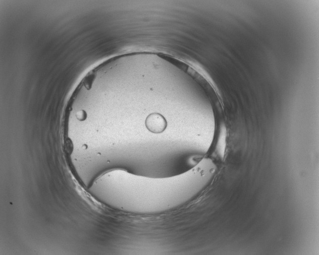 X0000078301148200611172142