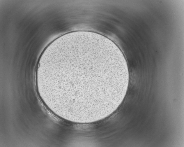 X0000078301150200611172142