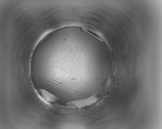 X0000078301151200611172142