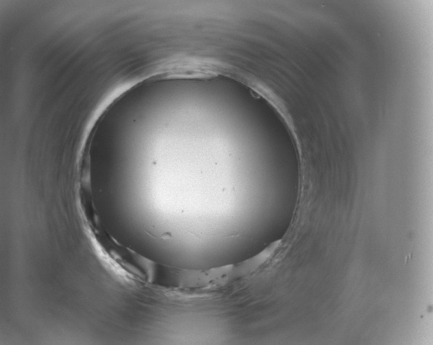 X0000078301152200611172142