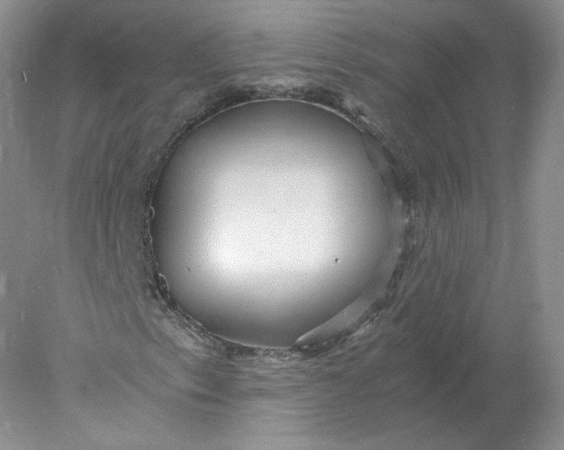 X0000078301153200611172141