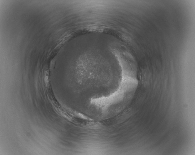 X0000078301154200611172141