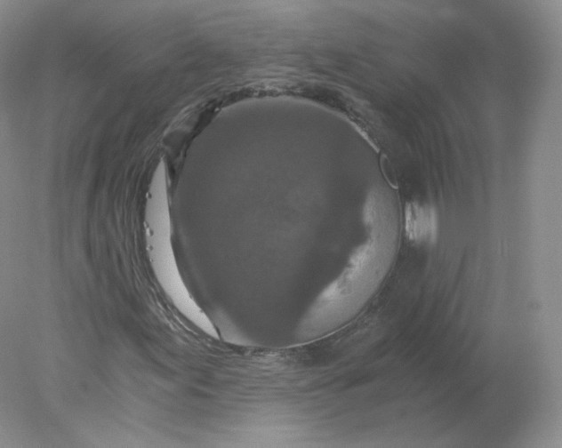 X0000078301155200611172141