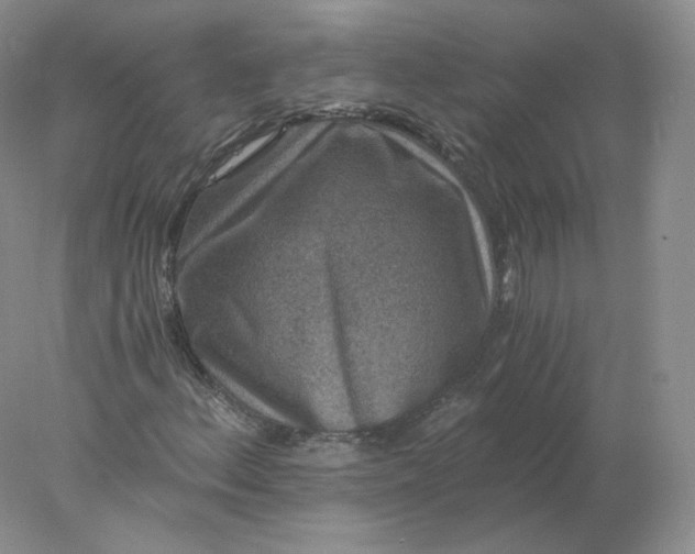 X0000078301156200611172141