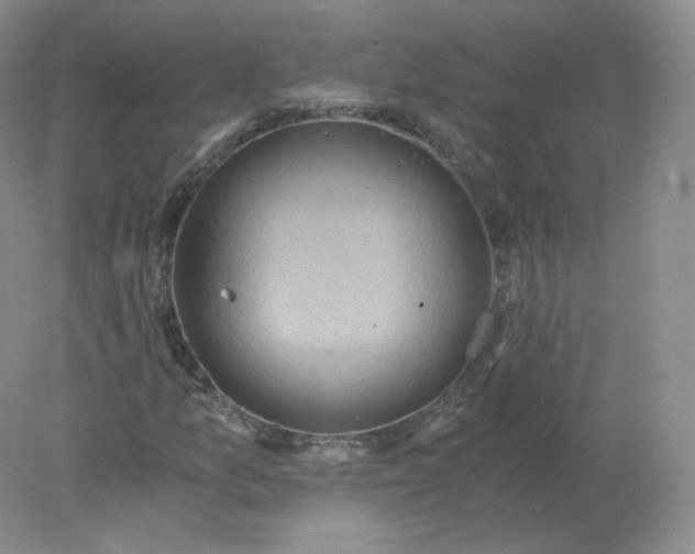 X0000078301157200611172141