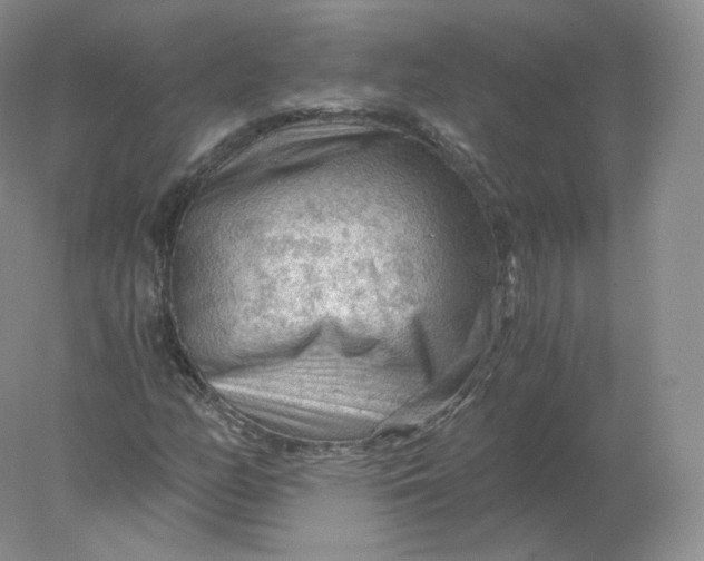 X0000078301158200611172141