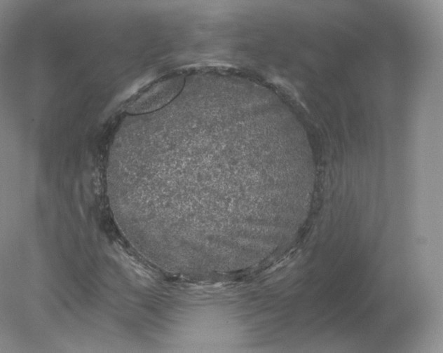 X0000078301159200611172141