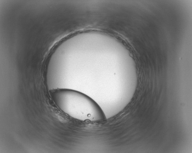 X0000078301160200611172141