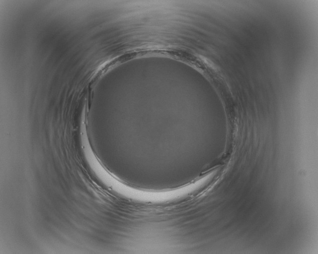 X0000078301161200611172141