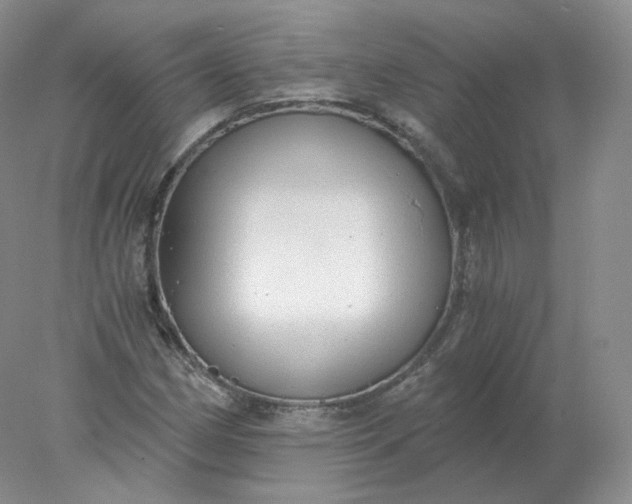 X0000078301162200611172141