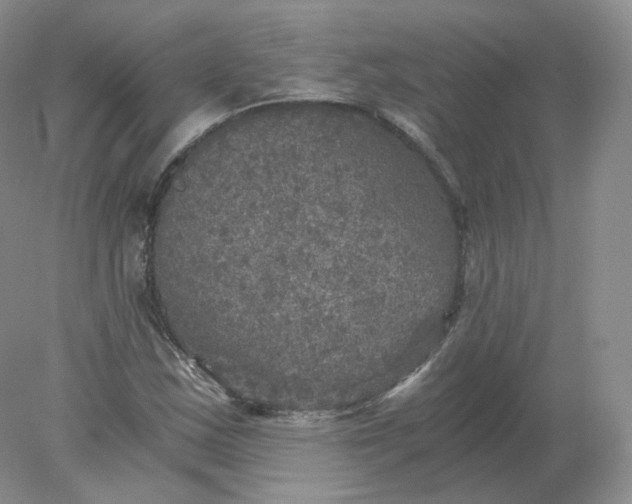 X0000078301163200611172141