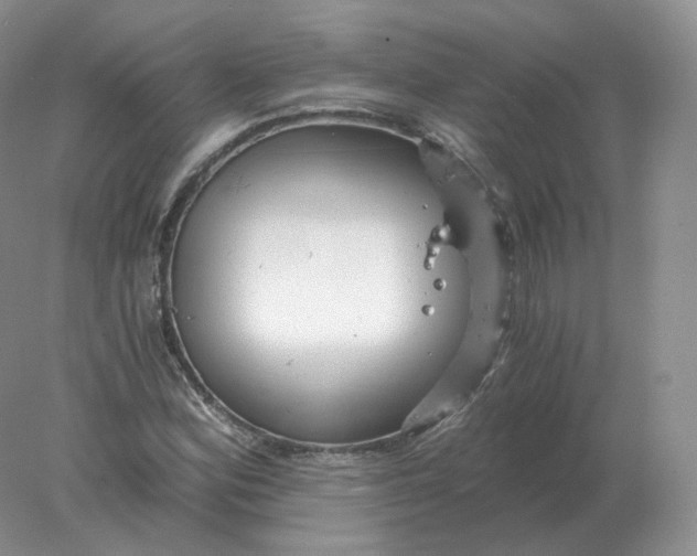 X0000078301164200611172141