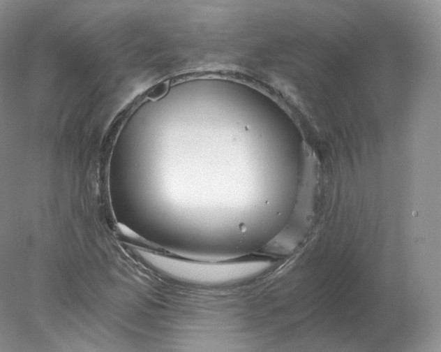 X0000078301165200611172141