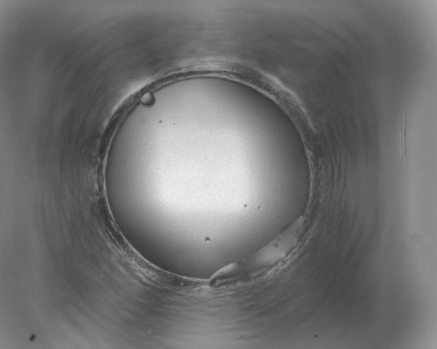 X0000078301166200611172141