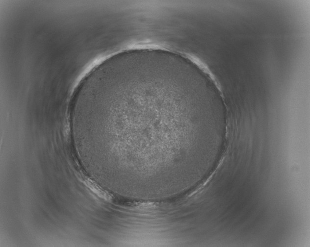 X0000078301167200611172141