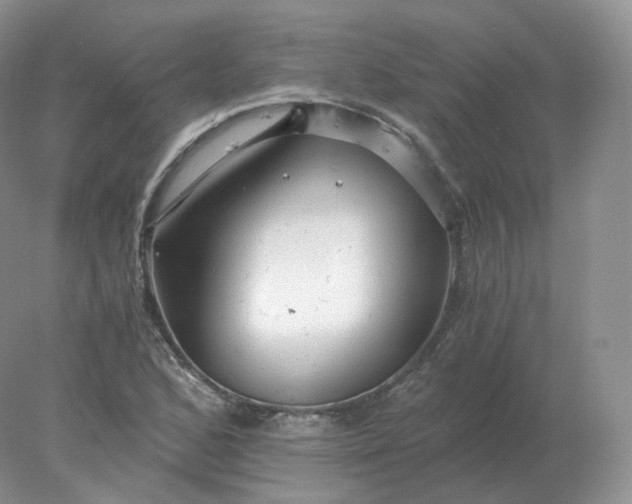 X0000078301168200611172141