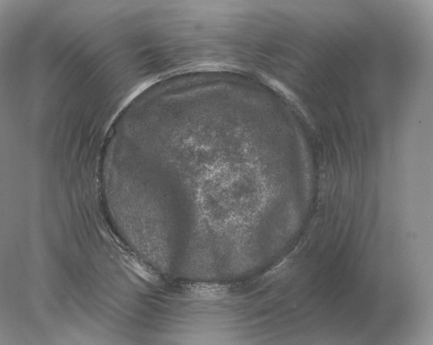 X0000078301170200611172140