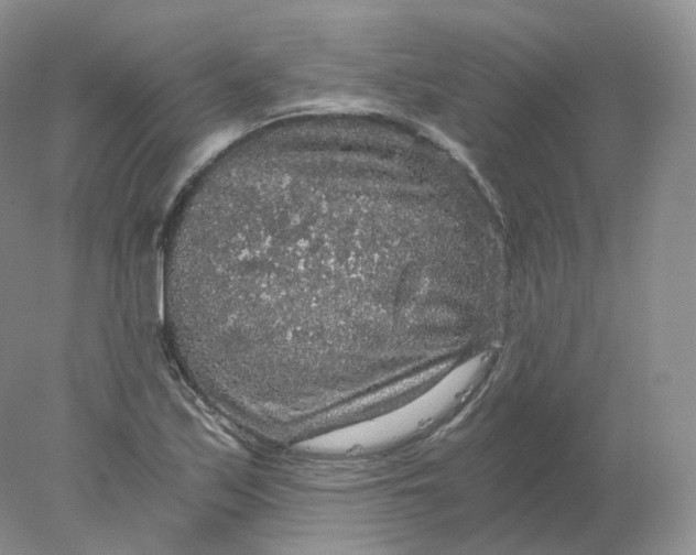 X0000078301171200611172140